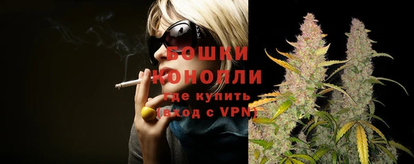 PSILOCYBIN Сясьстрой