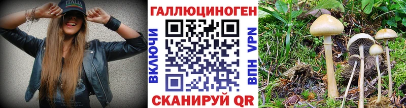 Псилоцибиновые грибы ЛСД  наркота  KRAKEN как войти  Мончегорск 